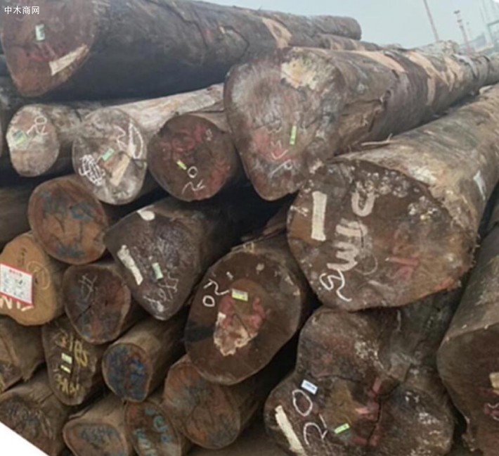 巴新政府拟在2025年禁止原木出口政策