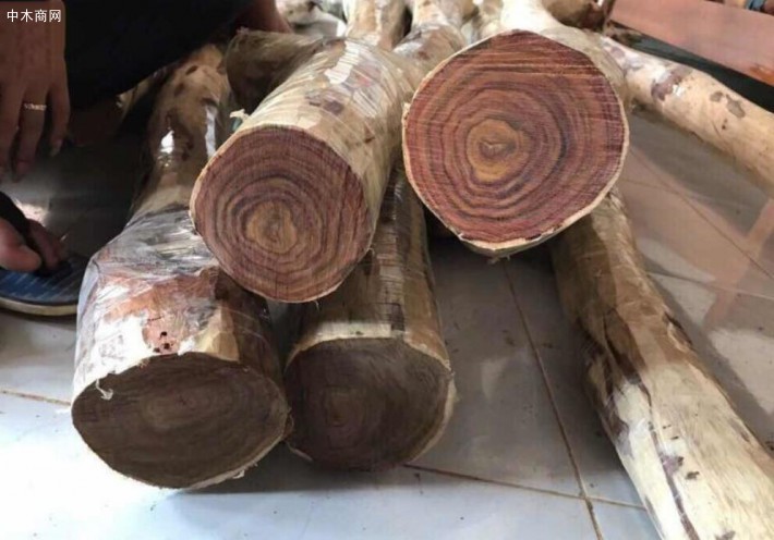越南木材及木制品出口收入在今年上半年达到53亿美元
