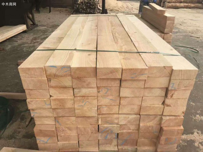 广西省贵港市召开木材加工企业发展座谈会
