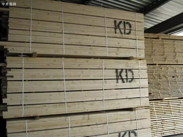 木材干燥处理用什么