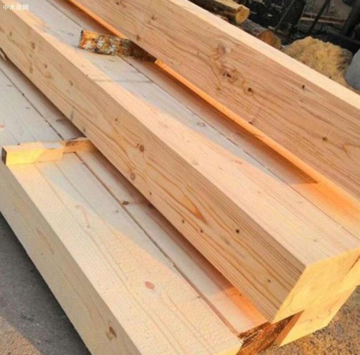 新西兰辐射松建筑木方生产厂家