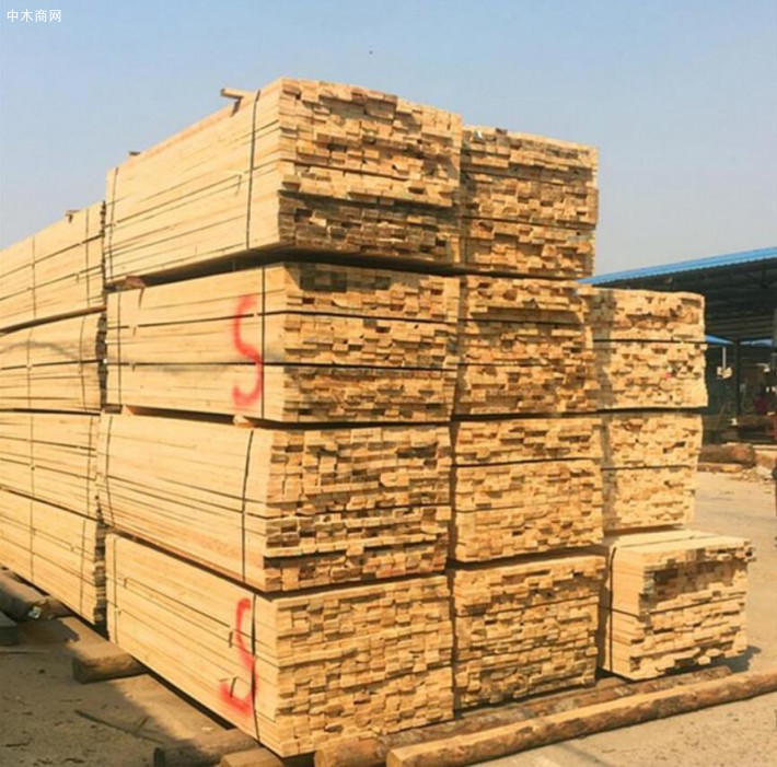 新西兰辐射松建筑木方生产厂家图片