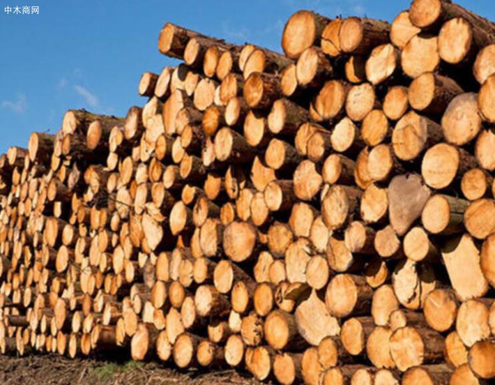 广西省贵港木材业上半年产值逾190亿
