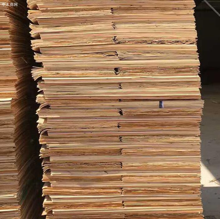 桉木木皮生产厂家价格