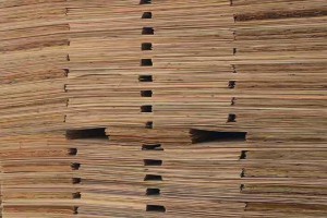 桉木木皮生产厂家高清视频