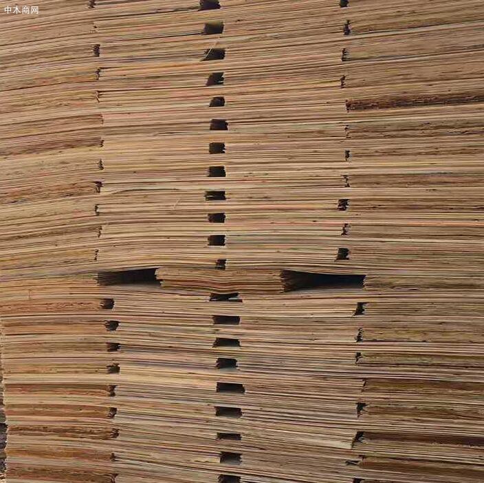 桉木木皮生产厂家高清视频