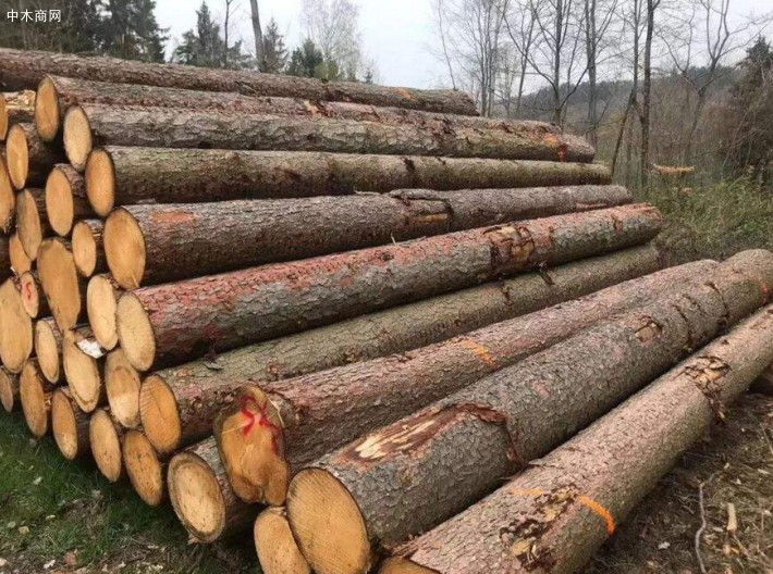 上半年中国软木原木材进口量达1750万m3