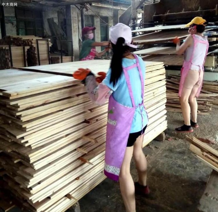 拼板厂家直销高品质实木杉木拼板多种规格均可加工定做厂家