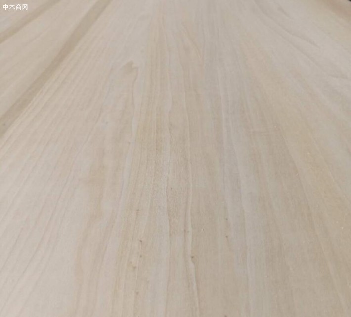 白杨木板材家具的优缺点有哪些价格