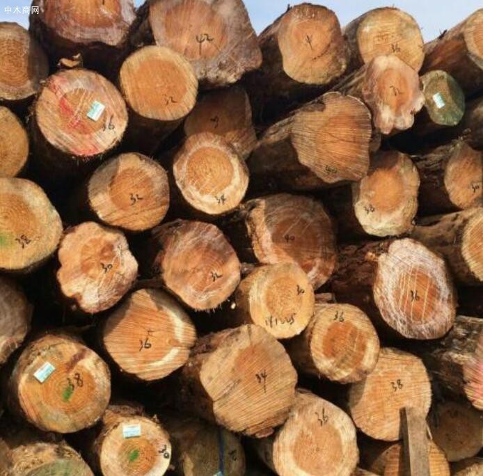 重庆原木木材批发市场价格行情