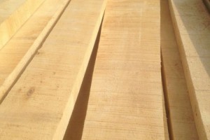 桦木板材,桦木烘干板材价格表图1