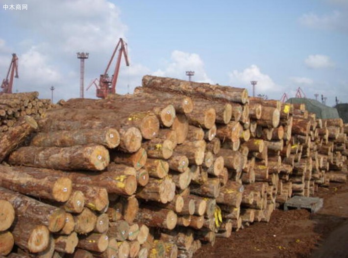 2020年上半年我国原木锯材进口木材4184.95万立方米