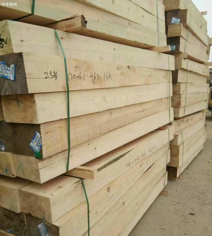 进口雪柏木原木板材厂家批发价格