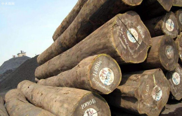 非洲的十大常见硬木木材特征介绍