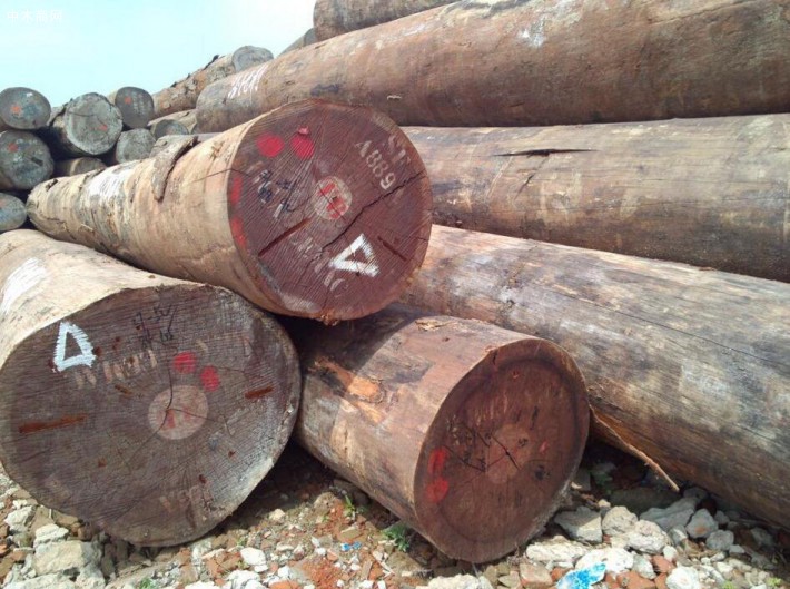 非洲的十大常见硬木木材特征介绍图片