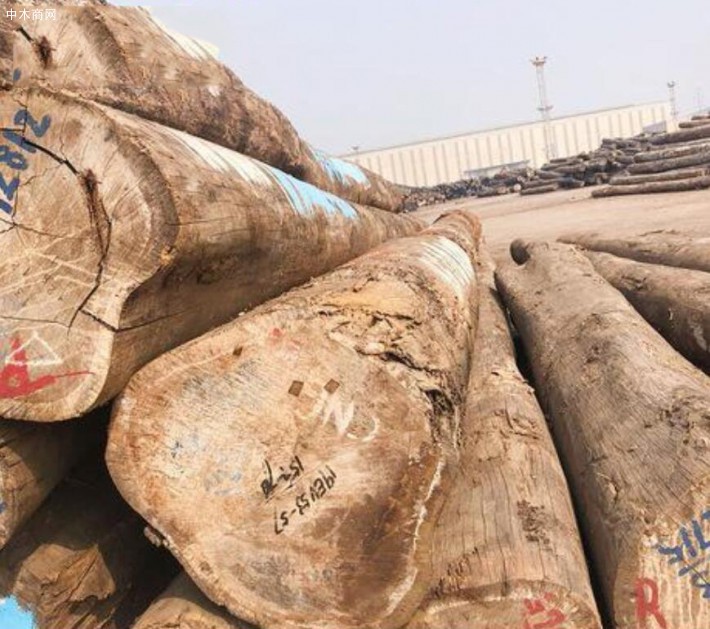 非洲的十大常见硬木木材特征介绍价格