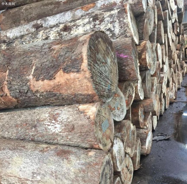 非洲的十大常见硬木木材特征介绍品牌