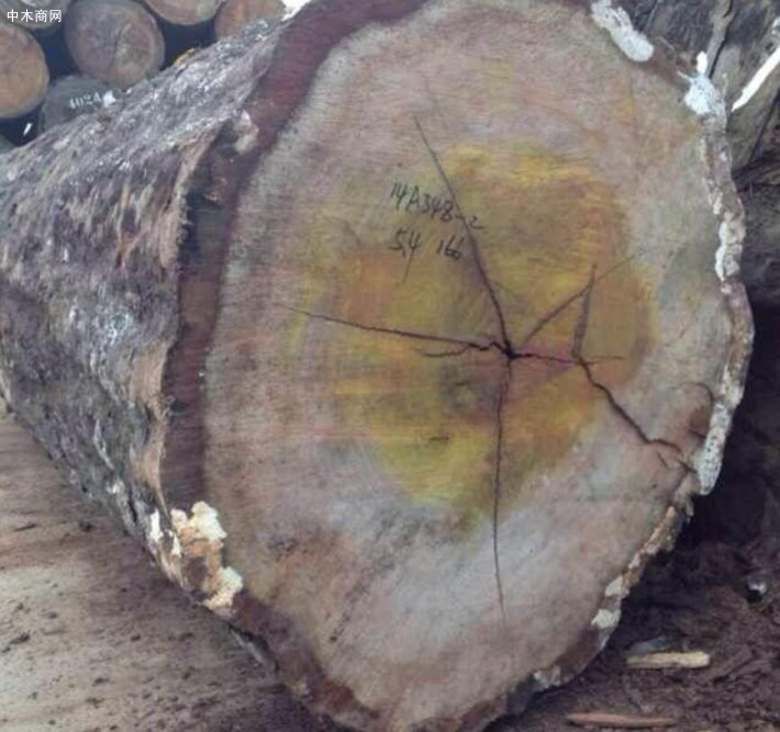 非洲的十大常见硬木木材特征介绍供应