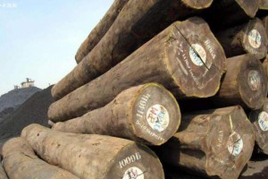 非洲的十大常见硬木木材特征介绍?