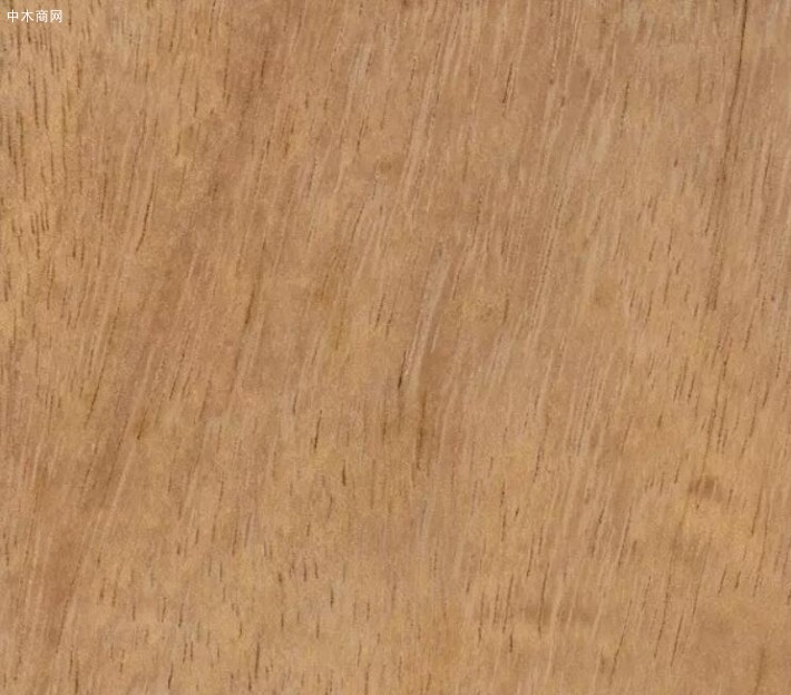 非洲绿柄桑木的特点有哪些品牌
