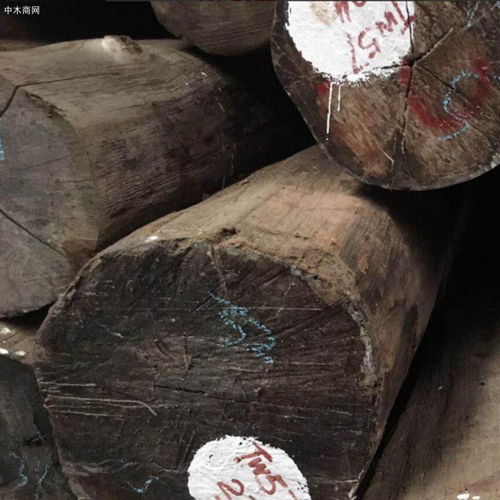 缅甸木材企业对木材供应链透明度的保证