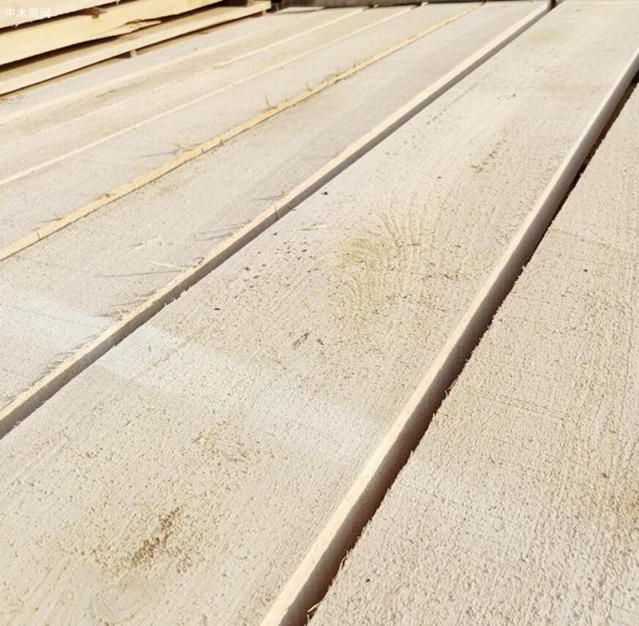 东北杨木板材的优缺点吗及东北烘干杨木板材价格多少钱一方