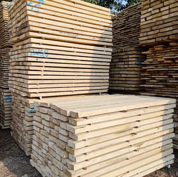 东北杨木板材的优缺点吗及东北烘干杨木板材价格多少钱一方批发