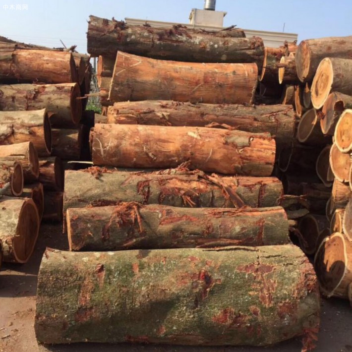 陆海新通道每月原木木材吞吐量可达3万m3