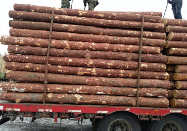 越南进口木材商就木材进口的合法性发出警告