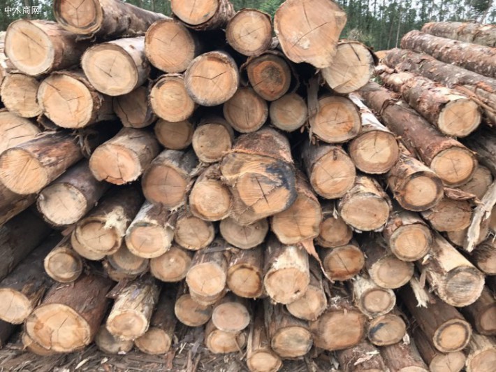 巴西木材采伐受疫情影响严重,采伐授权均被延长到1年