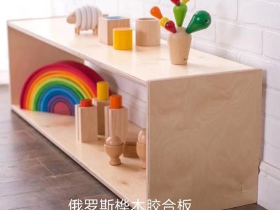 俄罗斯全桦木多层板儿童家具产品展示图4