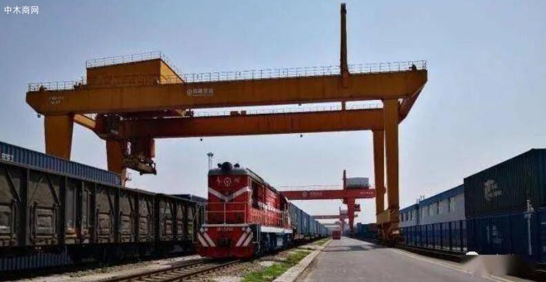 长沙市已成为中国从俄罗斯进口木材的第四大口岸