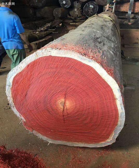 非洲红花梨木是什么木材
