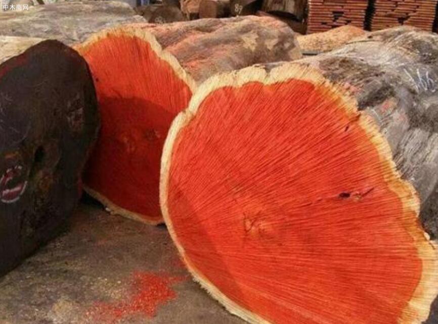 非洲红花梨木是什么木材图片