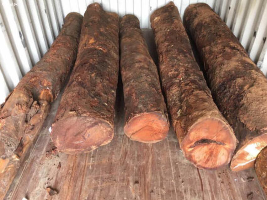 小巴花(鞘籽古夷苏木)是一种什么样的木材