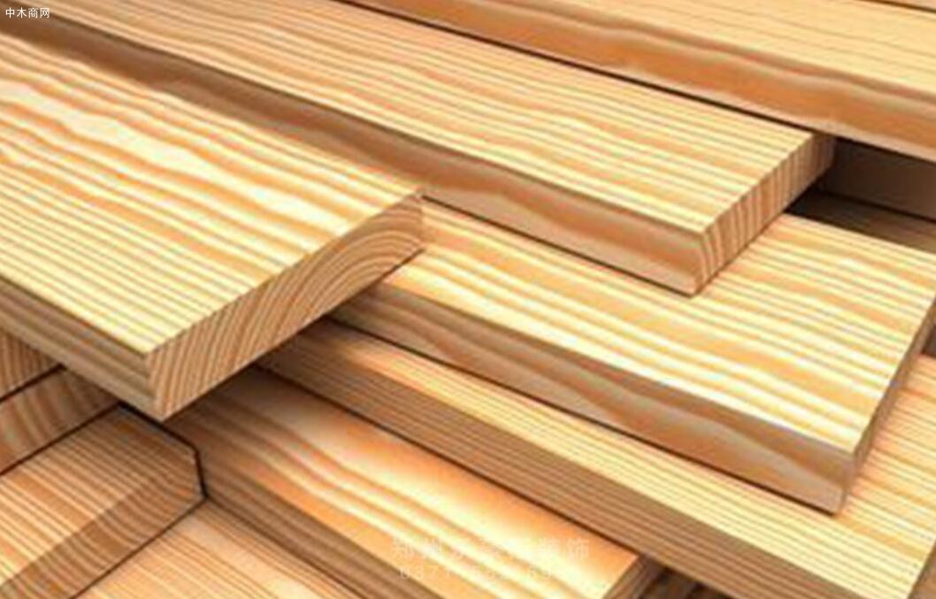 深入调研钦州木材加工产业发展现状