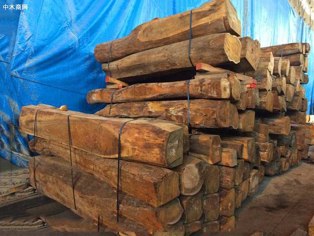 加纳木材公司寻求政府减免税收