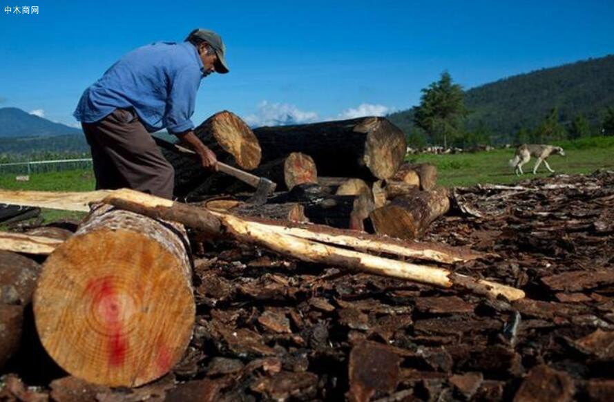 安哥拉东南部的伐木者损失1250亿安哥拉宽扎