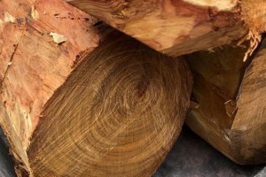 越南对美国的木材与木制品出口激增