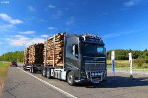 爱尔兰GPWood加入欧洲木材采购竞争行列