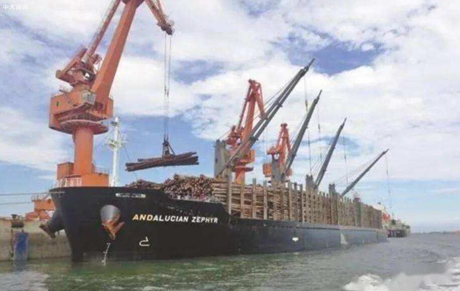 莆田秀屿港开辟“绿色通道”护航木材贸易船运通道