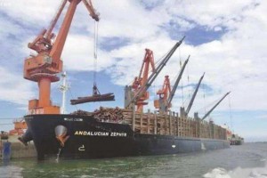 莆田秀屿港开辟“绿色通道”护航木材贸易船运通道