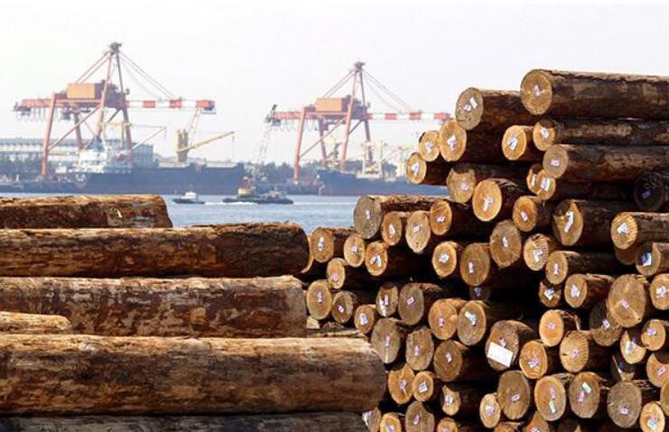 中国木材资源主要来源国有哪些？
