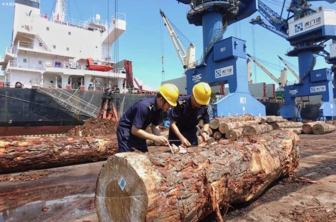 中国比较大进口木材港口是那里