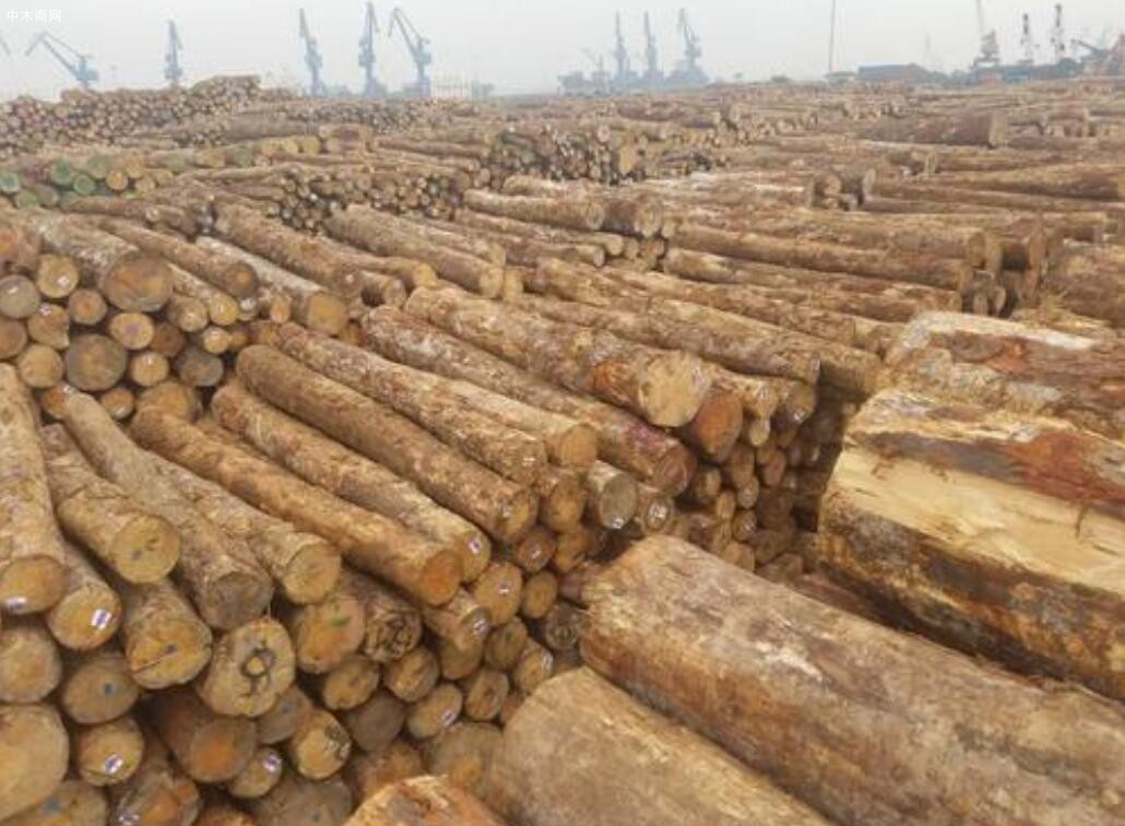 总投资4.5亿元!海南中顺打造国际木材产业园