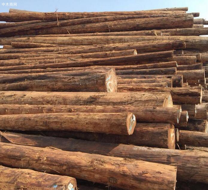 新西兰原木和锯材价格行情_2020年11月5日