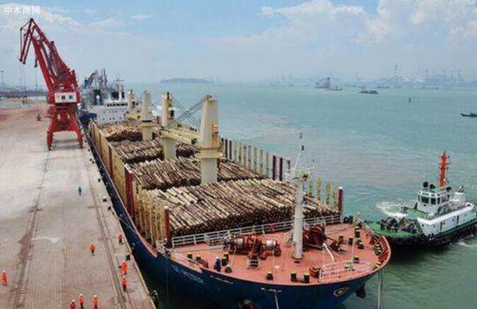 东南亚海运价格持续攀升木材市场很受伤？