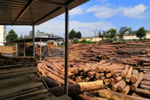 出售云南松木锯材,建筑木方生产厂家