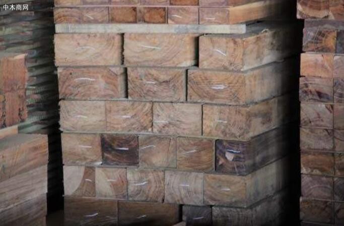 2020年1月至9月中国成为玻利维亚木材产品比较大买家