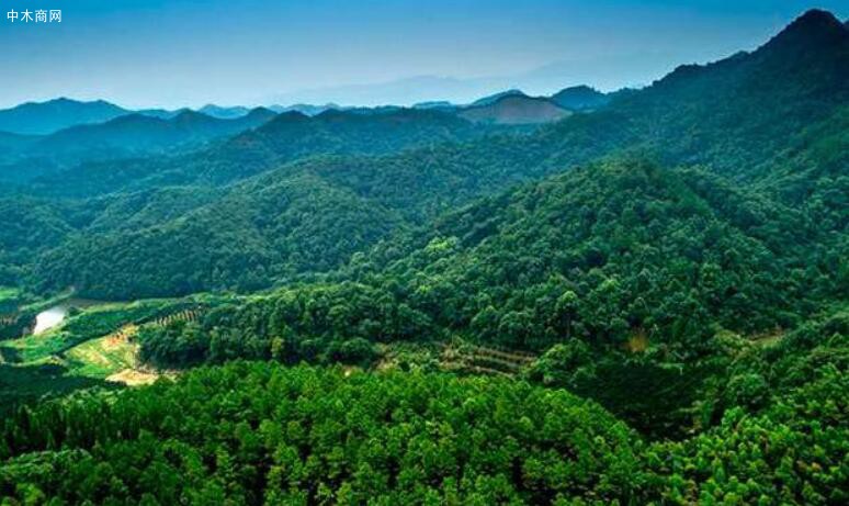 江西省林业产业迈入全国第一方阵 